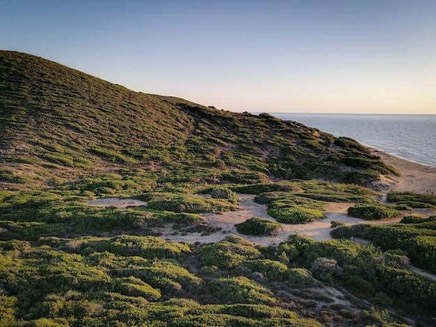 Kostenloses Foto schöne aufnahme der landschaft, grün an der küste