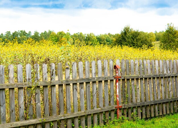 Schöne Aufnahme des Feldes voller gelber Blumen und Bäume hinter dem alten Holzzaun