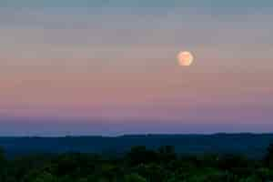 Kostenloses Foto schöne aufnahme des großen grauen mondes am abendhimmel über einem dichten grünen wald