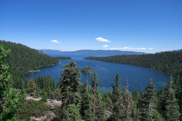 Schöne Aufnahme des Ozeans, umgeben von einer grünen Landschaft verschiedener Arten von Pflanzen