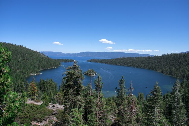 Schöne Aufnahme des Ozeans, umgeben von einer grünen Landschaft verschiedener Arten von Pflanzen