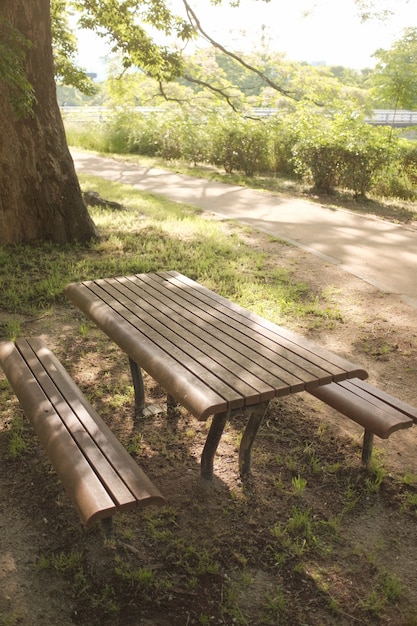 Schöne Aufnahme des Parks mit zwei Holzbänken und einem Tisch im Vordergrund