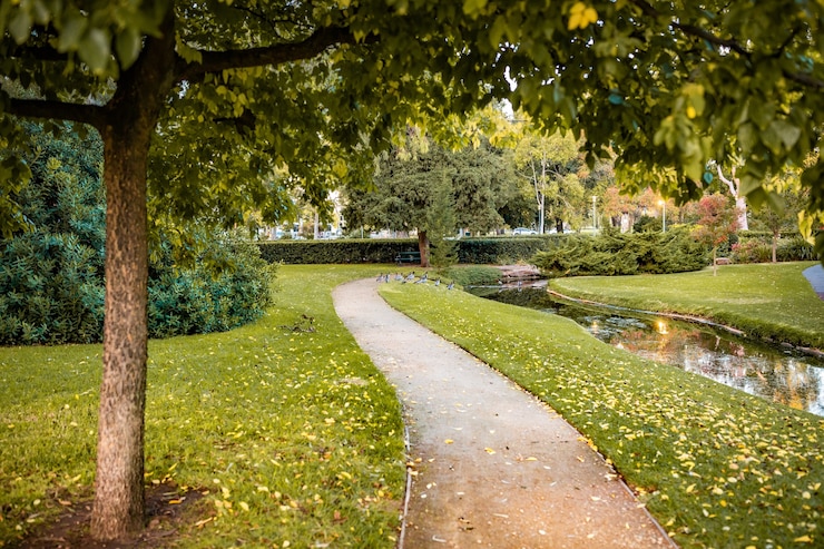 Kostenlose Foto schöne aufnahme des parkweges umgeben von erstaunlicher natur