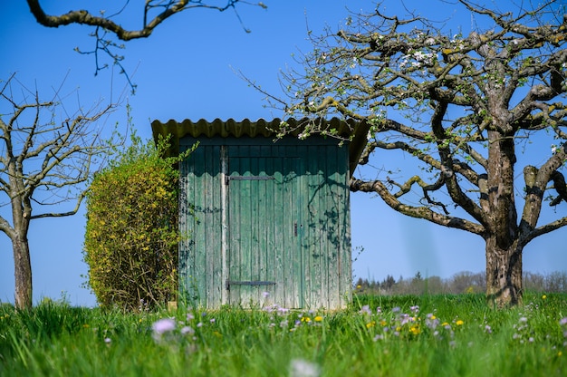 Schöne Aufnahme einer Außentoilette, umgeben von erstaunlichen Bäumen und einer grünen Wiese