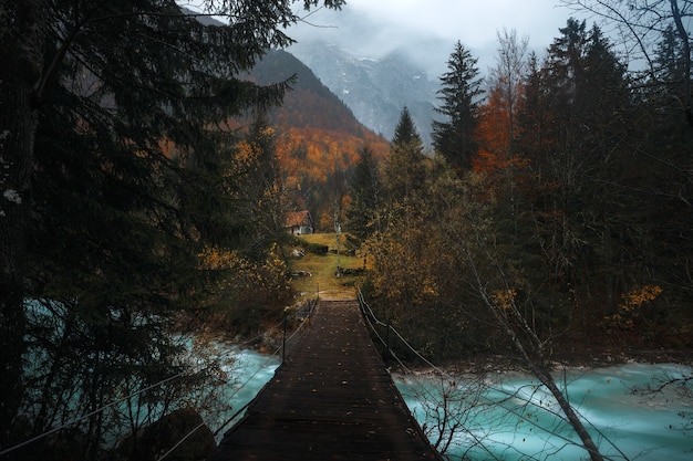 Schöne Aufnahme einer Holzbrücke über dem Fluss, umgeben von Bäumen im Wald