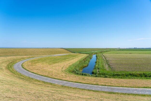 Schöne Aufnahme einer kurvenreichen Straße, die durch ein Feld in den Niederlanden unter strahlend blauem Himmel führt