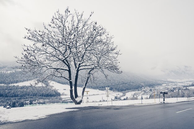 Schöne Aufnahme einer leeren Straße mit Bäumen und Hügeln, die mit Schnee bedeckt sind