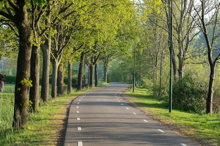 Kostenlose Foto schöne aufnahme einer straße umgeben von grünen bäumen