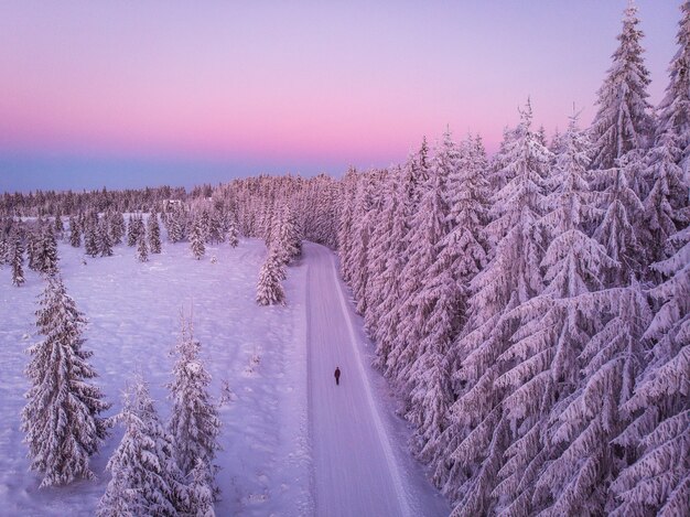 Schöne Aufnahme einer Straße und eines Waldes voller Kiefern, die während des Sonnenuntergangs mit Schnee bedeckt sind