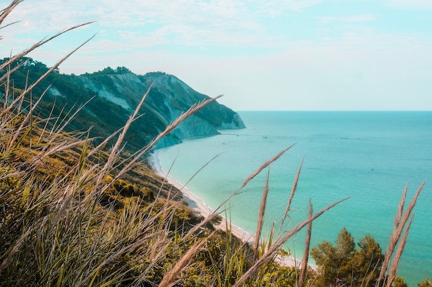 Kostenloses Foto schöne aufnahme einer tropischen insel, umgeben von klarem wasser an einem sonnigen tag