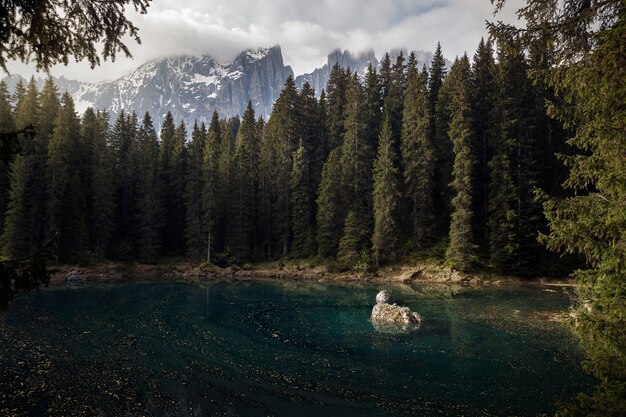 Schöne Aufnahme eines blauen Sees, umgeben von hohen Bäumen