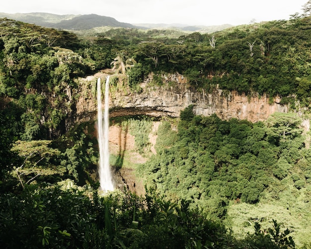 Schöne Aufnahme eines Chamarel-Wasserfalls im Dschungel der Insel Mauritius