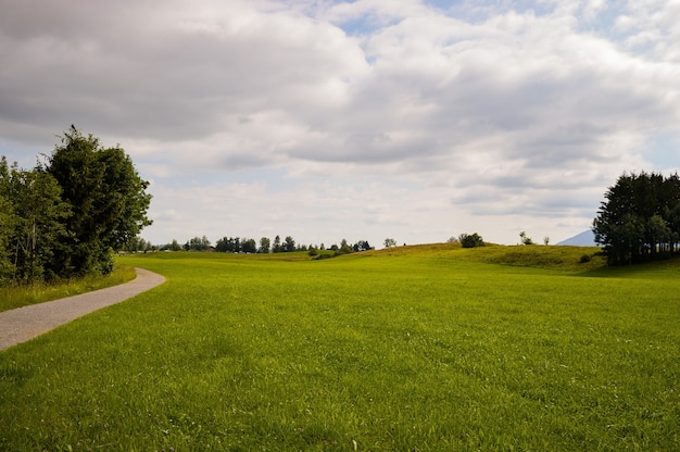 Kostenloses Foto schöne aufnahme eines feldes in der nähe der straße in deutschland