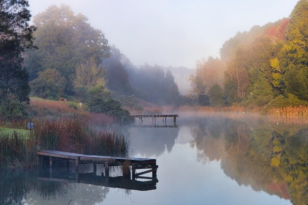 Schöne Aufnahme eines Sees, umgeben von Bäumen, über denen sich ein Nebel bildet