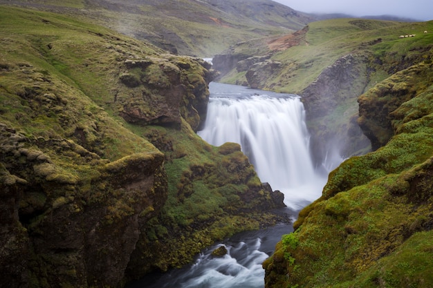 Schöne Aufnahme eines Wasserfalls, der grüne Berge in Island hinunterstürzt?