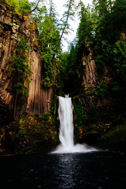 Schöne Aufnahme eines Wasserfalls im Wald, umgeben von hohen Bäumen