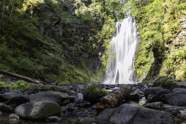 Schöne Aufnahme eines Wasserfalls in einem hellgrünen Wald