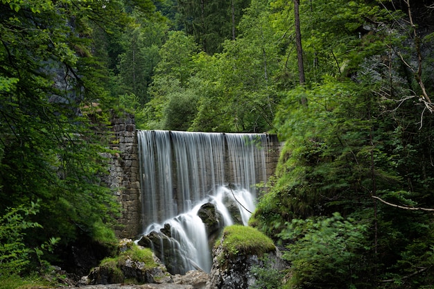 Schöne Aufnahme eines Wasserfalls, umgeben von grünblättrigen Bäumen und Pflanzen im Wald