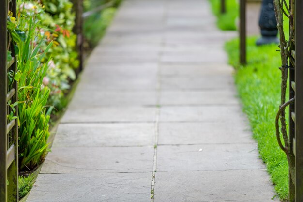 Schöne Aufnahme eines Weges im Park, umgeben von Gräsern und Blumen