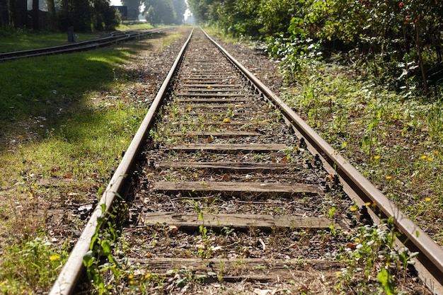 Kostenloses Foto schöne aufnahme von bahngleisen mit gras bedeckt während des tages