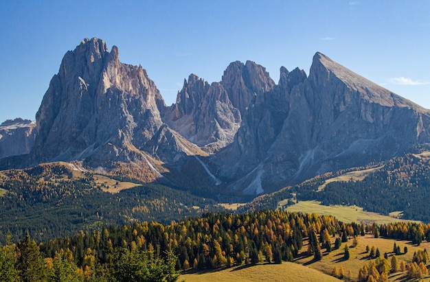 Schöne Aufnahme von Bergen und grasbewachsenen Hügeln mit Bäumen am Dolomit Italien