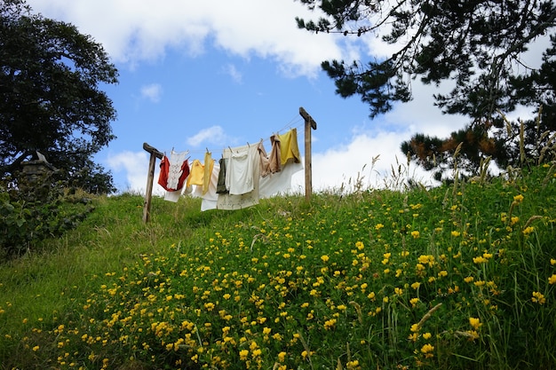 Schöne Aufnahme von frisch gewaschenen Kleidern, die im Garten unter einem blauen Himmel getrocknet werden