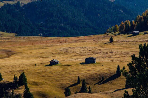 Schöne Aufnahme von Gebäuden auf einem grasbewachsenen Hügel mit einem bewaldeten Berg in der Ferne in Dolomit Italien