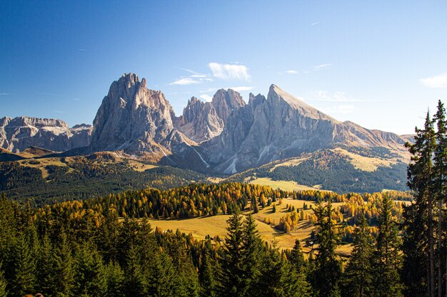 Schöne Aufnahme von grasbewachsenen Hügeln bedeckt in Bäumen nahe Bergen in den Dolomiten Italien