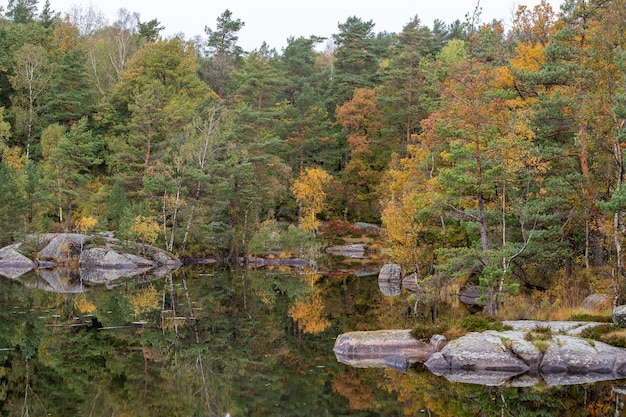 Schöne Aufnahme von Herbstbäumen und deren Spiegelung im Wasser