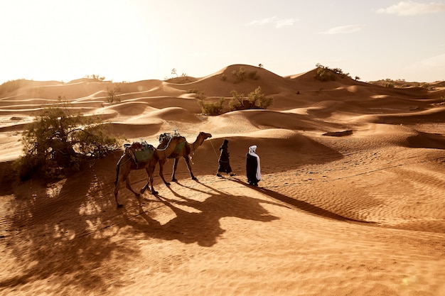 Schöne Aufnahme von Menschen, die mit ihren Kamelen in der Wüste von Erg Lihoudi in Marokko gehen