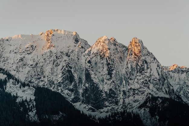 Schöne Aufnahme von schneebedeckten Gipfeln auf der Cascade Mountain Range in Washington