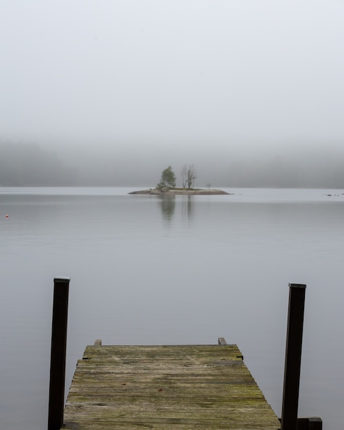 Kostenloses Foto schöne aussicht auf den see, umgeben von grün an einem nebligen tag