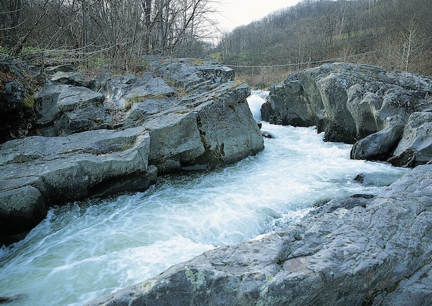 Kostenloses Foto schöne aussicht auf den wasserstrom im wald, umgeben von bäumen mit kahlen ästen