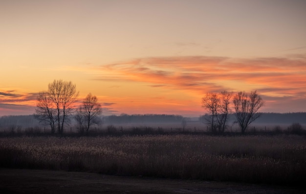 Schöne Aussicht auf die Felder mit kahlen Bäumen während des Sonnenuntergangs