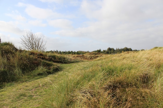 Kostenloses Foto schöne aussicht auf die mit trockenem gras bedeckten felder unter dem bewölkten himmel