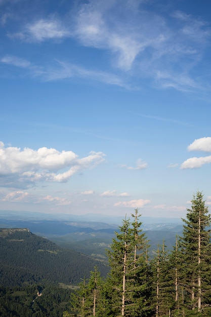 Schöne Aussicht auf die Natur bei Tageslicht