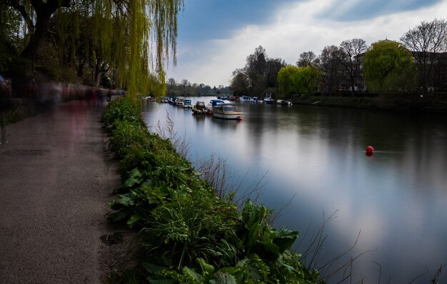 Schöne Aussicht auf die Segelboote auf einem Kanal, umgeben von Pflanzen und Weiden