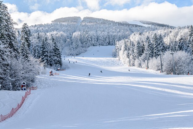 Schöne Aussicht auf eine Skipiste, umgeben von Bäumen in Bosnien und Herzegowina