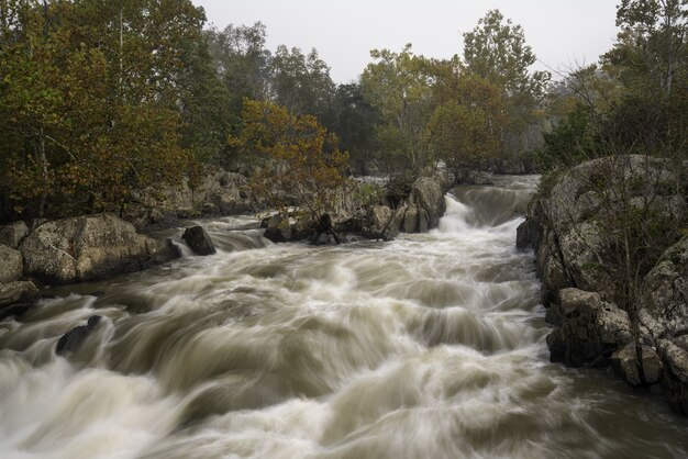 Schöne Aussicht auf einen schlammigen Fluss, der wild zwischen den Steinen und Bäumen verläuft