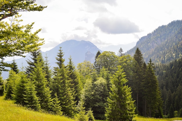 Schöne Aussicht auf hohe Berge in Deutschland