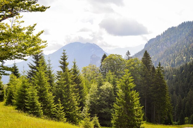 Schöne Aussicht auf hohe Berge in Deutschland