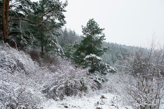 Schöne Aussicht Winterzeit