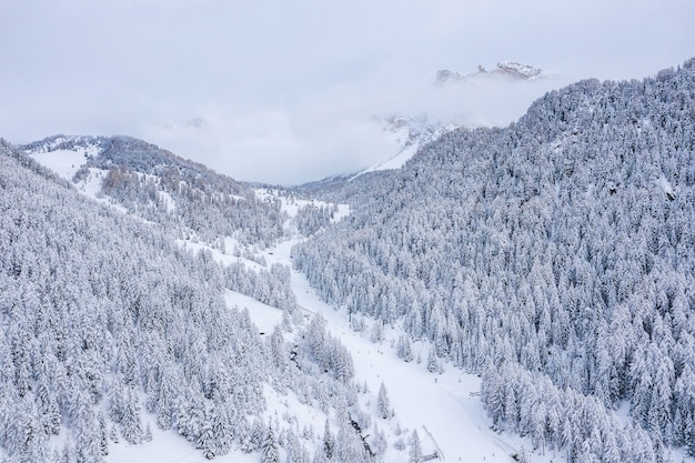 Kostenloses Foto schöne bäume in der winterlandschaft am frühen morgen im schneefall