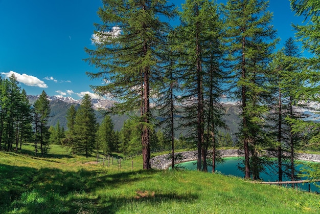 Schöne Berge im Sommer mit Wolkenschatten darauf