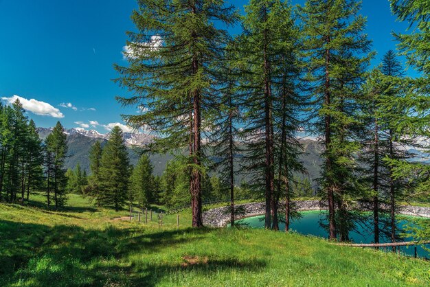 Schöne Berge im Sommer mit Wolkenschatten darauf