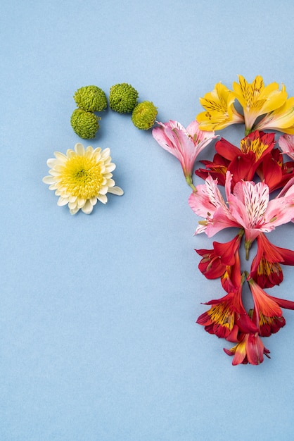 Schöne Blume Stillleben Eierstock