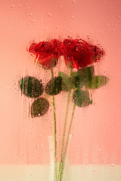 Schöne Blumen hinter Feuchtigkeitsglas