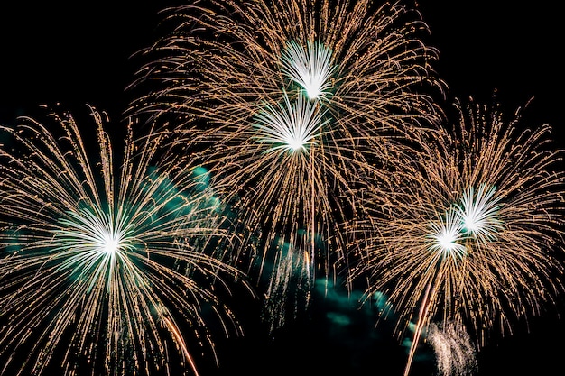 Kostenloses Foto schöne bunte feuerwerksanzeige nachts für feiern