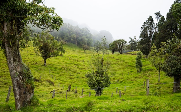 Schöne costaricanische Landschaft mit reichen grünen Hügeln