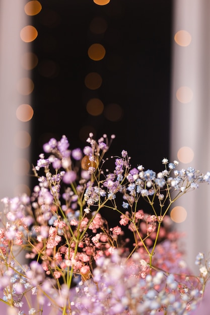 Schöne Dekoration süße kleine getrocknete bunte Blumen auf dunklem Schwarz, Tapete.